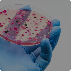Yeast Infections